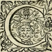 An illustration from Innocentia vindicata : in qua gravissimis argumentis ex S. Thoma petitis ostenditur, angelicum doctorem pro Immaculato Conceptu Deiparae sensisse & scripsisse ... (1695)