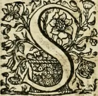 An illustration from Innocentia vindicata : in qua gravissimis argumentis ex S. Thoma petitis ostenditur, angelicum doctorem pro Immaculato Conceptu Deiparae sensisse & scripsisse ... (1695)