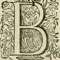 An illustration from Innocentia vindicata : in qua gravissimis argumentis ex S. Thoma petitis ostenditur, angelicum doctorem pro Immaculato Conceptu Deiparae sensisse & scripsisse ... (1695)