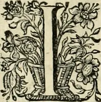 An illustration from Innocentia vindicata : in qua gravissimis argumentis ex S. Thoma petitis ostenditur, angelicum doctorem pro Immaculato Conceptu Deiparae sensisse & scripsisse ... (1695)