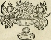 An illustration from Innocentia vindicata : in qua gravissimis argumentis ex S. Thoma petitis ostenditur, angelicum doctorem pro Immaculato Conceptu Deiparae sensisse & scripsisse ... (1695)