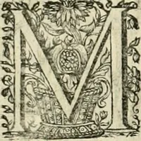 An illustration from Innocentia vindicata : in qua gravissimis argumentis ex S. Thoma petitis ostenditur, angelicum doctorem pro Immaculato Conceptu Deiparae sensisse & scripsisse ... (1695)