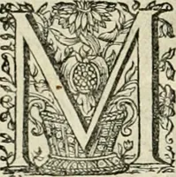 Picture 129 of 132 from Innocentia vindicata : in qua gravissimis argumentis ex S. Thoma petitis ostenditur, angelicum doctorem pro Immaculato Conceptu Deiparae sensisse & scripsisse ... (1695), leaf 225