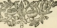 An illustration from Innocentia vindicata : in qua gravissimis argumentis ex S. Thoma petitis ostenditur, angelicum doctorem pro Immaculato Conceptu Deiparae sensisse & scripsisse ... (1695)