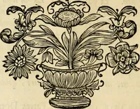 An illustration from Innocentia vindicata : in qua gravissimis argumentis ex S. Thoma petitis ostenditur, angelicum doctorem pro Immaculato Conceptu Deiparae sensisse & scripsisse ... (1695)