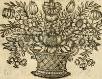 An illustration from Innocentia vindicata : in qua gravissimis argumentis ex S. Thoma petitis ostenditur, angelicum doctorem pro Immaculato Conceptu Deiparae sensisse & scripsisse ... (1695)