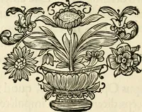 An illustration from Innocentia vindicata : in qua gravissimis argumentis ex S. Thoma petitis ostenditur, angelicum doctorem pro Immaculato Conceptu Deiparae sensisse & scripsisse ... (1695)