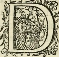 An illustration from Innocentia vindicata : in qua gravissimis argumentis ex S. Thoma petitis ostenditur, angelicum doctorem pro Immaculato Conceptu Deiparae sensisse & scripsisse ... (1695)