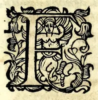 An illustration from In nvptias sereniss. Cosmi Medicis magni hetrvriae principis et sereniss. Mariae Magdalenae archidvcis Avstriacae Caroli F. et Ferdinandi Caesaris N. epithalamivm (1608)