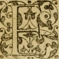 An illustration from In omnes Pauli apostoli epistolas, atque etiam in Epistolam ad Hebraeos, & omnes canonicas (1565)