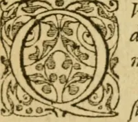 An illustration from In omnes Pauli apostoli epistolas, atque etiam in Epistolam ad Hebraeos, & omnes canonicas (1565)