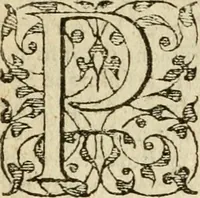 An illustration from In omnes Pauli apostoli epistolas, atque etiam in Epistolam ad Hebraeos, & omnes canonicas (1565)