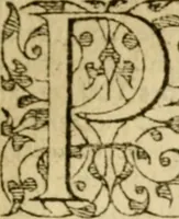 An illustration from In omnes Pauli apostoli epistolas, atque etiam in Epistolam ad Hebraeos, & omnes canonicas (1565)