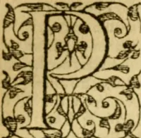 An illustration from In omnes Pauli apostoli epistolas, atque etiam in Epistolam ad Hebraeos, & omnes canonicas (1565)