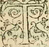 An illustration from In omnes Pauli apostoli epistolas, atque etiam in Epistolam ad Hebraeos, & omnes canonicas (1565)