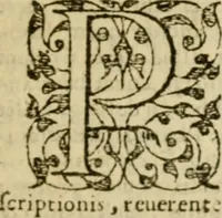 An illustration from In omnes Pauli apostoli epistolas, atque etiam in Epistolam ad Hebraeos, & omnes canonicas (1565)