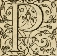 An illustration from In omnes Pauli apostoli epistolas, atque etiam in Epistolam ad Hebraeos, & omnes canonicas (1565)