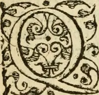 An illustration from In omnes Pauli apostoli epistolas, atque etiam in Epistolam ad Hebraeos, & omnes canonicas (1565)
