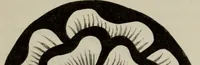 An illustration from An inquiry into the difference of style observable in ancient glass paintings : especially in England: with hints on glass painting (1847)