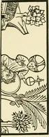 An illustration from An inquiry into the origin and early history of engraving : upon copper and in wood, with an account of engravers and their works, from the invention of chalcography by Maso Finiguerra, to the time of Marc' Antonio Raimondi (1816)