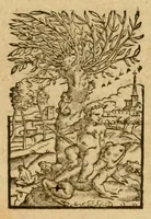 Picture 2 of 2 from In sacrosanctum Evangelium Domini nostri Iesu Christi secundum Marcu commentariorum lib. VI (1554), leaf 113