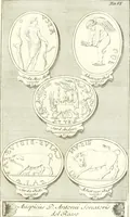Picture 13 of 139 from Inscriptiones antiqvae in Etrvriae vrbibvs exstantes (1727), leaf 102