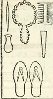 Picture 37 of 139 from Inscriptiones antiqvae in Etrvriae vrbibvs exstantes (1727), leaf 141