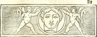 Picture 44 of 139 from Inscriptiones antiqvae in Etrvriae vrbibvs exstantes (1727), leaf 212