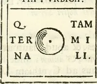 Picture 46 of 139 from Inscriptiones antiqvae in Etrvriae vrbibvs exstantes (1727), leaf 221