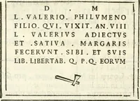 Picture 72 of 139 from Inscriptiones antiqvae in Etrvriae vrbibvs exstantes (1727), leaf 333