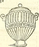 Picture 104 of 139 from Inscriptiones antiqvae in Etrvriae vrbibvs exstantes (1727), leaf 480