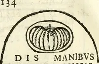 Picture 116 of 139 from Inscriptiones antiqvae in Etrvriae vrbibvs exstantes (1727), leaf 513