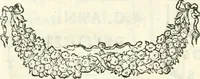 Picture 121 of 139 from Inscriptiones antiqvae in Etrvriae vrbibvs exstantes (1727), leaf 531