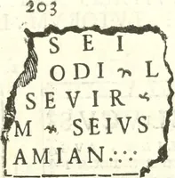 Picture 125 of 139 from Inscriptiones antiqvae in Etrvriae vrbibvs exstantes (1727), leaf 536