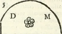 An illustration from Inscriptiones antiqvae in Etrvriae vrbibvs exstantes (1727)