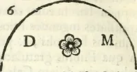 An illustration from Inscriptiones antiqvae in Etrvriae vrbibvs exstantes (1727)
