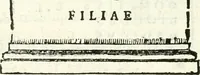An illustration from Inscriptiones antiqvae in Etrvriae vrbibvs exstantes (1727)