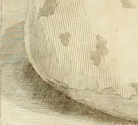 An illustration from Inscriptiones antiqvae in Etrvriae vrbibvs exstantes (1727)