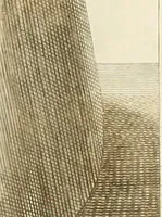 An illustration from Inscriptiones antiqvae in Etrvriae vrbibvs exstantes (1727)