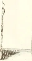 An illustration from Inscriptiones antiqvae in Etrvriae vrbibvs exstantes (1727)