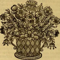 An illustration from Inscriptiones Graecae Palmyrenorum : cum scholiis & annotationibus (1698)