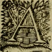 An illustration from Inscriptiones Graecae Palmyrenorum : cum scholiis & annotationibus (1698)
