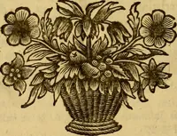 Picture 8 of 8 from Inscriptiones Graecae Palmyrenorum : cum scholiis & annotationibus (1698), leaf 99