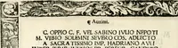 Picture 93 of 327 from Inscriptiones sacrosanctae vetvstatis : non illae qvidem romanae, sed totivs fere orbis svmmo stvdio ac maximis impensis Terra Mariqs conquisitæ feliciter incipiunt (1534), leaf 195