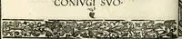 Picture 204 of 327 from Inscriptiones sacrosanctae vetvstatis : non illae qvidem romanae, sed totivs fere orbis svmmo stvdio ac maximis impensis Terra Mariqs conquisitæ feliciter incipiunt (1534), leaf 355