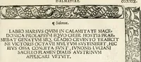 Picture 223 of 327 from Inscriptiones sacrosanctae vetvstatis : non illae qvidem romanae, sed totivs fere orbis svmmo stvdio ac maximis impensis Terra Mariqs conquisitæ feliciter incipiunt (1534), leaf 410