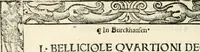 Picture 259 of 327 from Inscriptiones sacrosanctae vetvstatis : non illae qvidem romanae, sed totivs fere orbis svmmo stvdio ac maximis impensis Terra Mariqs conquisitæ feliciter incipiunt (1534), leaf 489