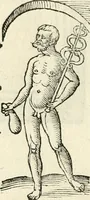 An illustration from Inscriptiones sacrosanctae vetvstatis : non illae qvidem romanae, sed totivs fere orbis svmmo stvdio ac maximis impensis Terra Mariqs conquisitæ feliciter incipiunt (1534)