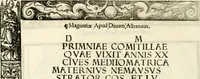 Picture 282 of 327 from Inscriptiones sacrosanctae vetvstatis : non illae qvidem romanae, sed totivs fere orbis svmmo stvdio ac maximis impensis Terra Mariqs conquisitæ feliciter incipiunt (1534), leaf 513
