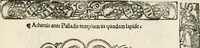 Picture 301 of 327 from Inscriptiones sacrosanctae vetvstatis : non illae qvidem romanae, sed totivs fere orbis svmmo stvdio ac maximis impensis Terra Mariqs conquisitæ feliciter incipiunt (1534), leaf 540